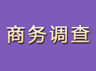 琅琊商务调查